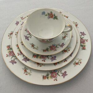 Aladdin Fine China DRESDENIA 5-Piece Place Setting - Multi-Color Floral Pattern